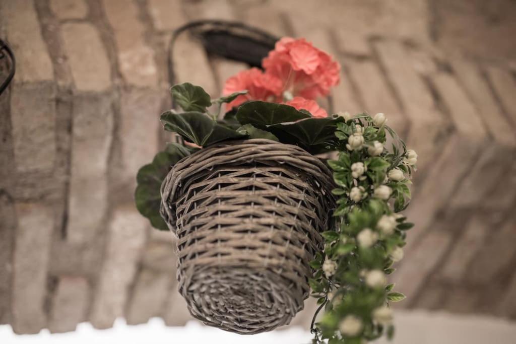 Shabby Apartment @Trastevere 罗马 外观 照片